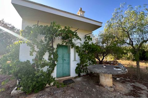 Ruïna a Ostuni, Brindisi, Ostuni - € 43.000 | Ref: Lamia Vite - foto 7